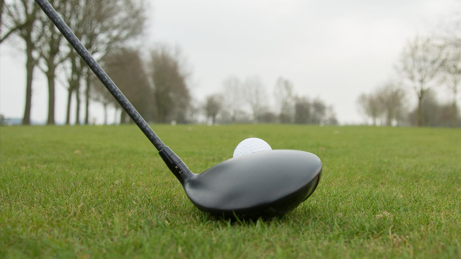 Golf club and ball